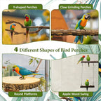 8pcs Natural Bird Perches for Cage, 5.9“ Small Wood Bird Perch for - Image 5
