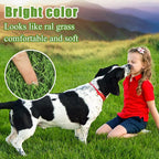 Bsmathom Artificial Grass Rug Indoor Outdoor Rug, Dog Grass Mat - Image 6