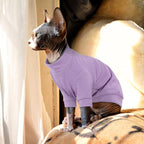 PUMYPOREITY Stretchy Cat Shirt, Sweater - Image 4