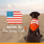 Nylabone Power Chew Antler Alternative Nylon Chew Toy - Image 9