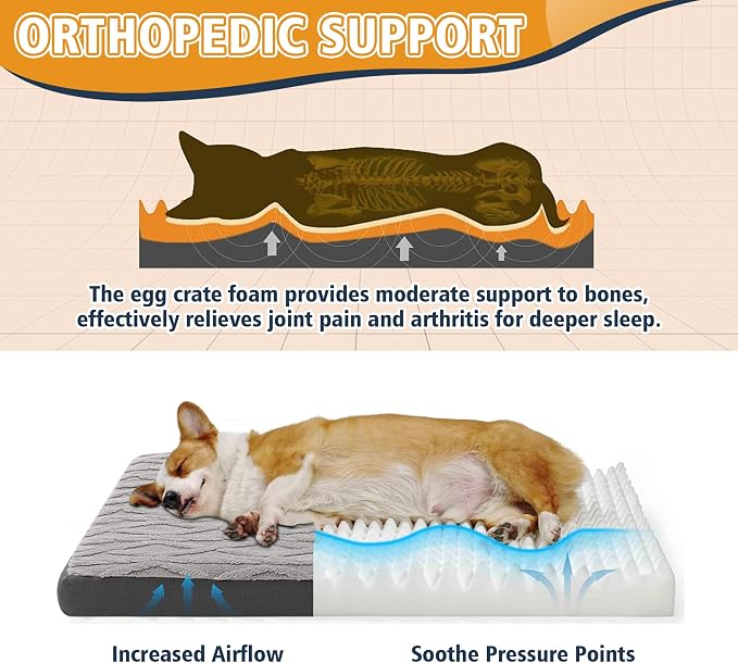 Orthopedic Dog Beds for Medium Dogs – Waterproof Plush Pet Mattress - Image 3
