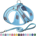 AIITLE Easy Walk Dog Harness and Leash Set by AIITLE-FORPETSBETTERLIFE