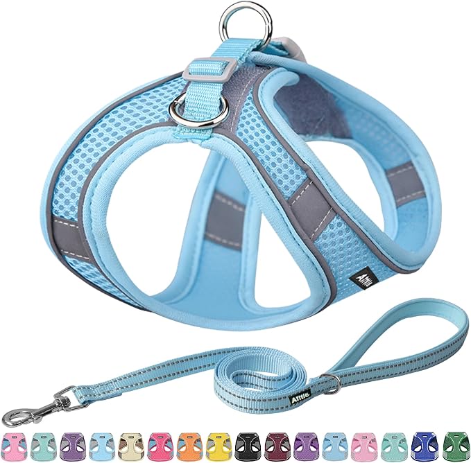 AIITLE Easy Walk Dog Harness and Leash Set by AIITLE-FORPETSBETTERLIFE