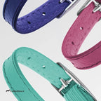 CollarDirect Leather Cat Collar - Image 8