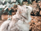 Pro-Track-tor - Ultra-Lightweight Cat Finder - No Monthly Fees - 1600ft Range - Image 5