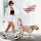 Didog Soft PU Leather Dog Collar, Stylish Quick Released Dog Collar - Image 4