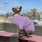 PUMYPOREITY Cat Clothes - Image 5