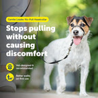PetSafe Gentle Leader No-Pull Dog Headcollar - Image 2