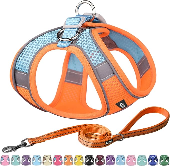 AIITLE Escape Proof Dog Harness by AIITLE-FORPETSBETTERLIFE