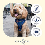 Lucy & Co. Cute Reversible Dog Harness Walking Halter - Image 4