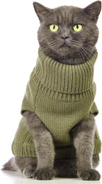 Stretchy Cat Sweater - Image 3