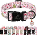 Christmas Dog Collar for Giant Large Dogs by Babolepet