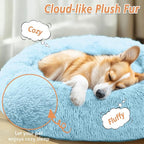 JOLLYVOGUE Calming Dog Bed Medium Size Dog, Anti-Anxiety Donut Medium Pet Bed - Image 2