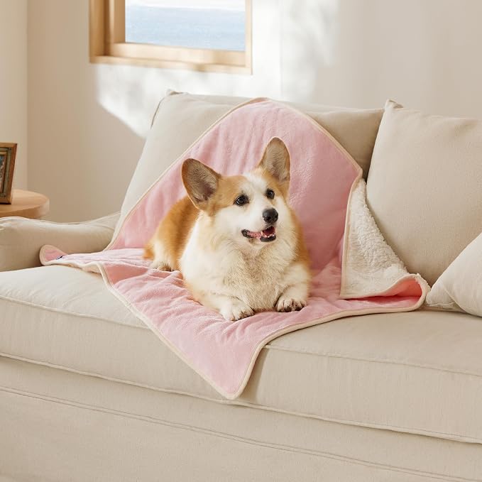 Bedsure Cat Blanket for Indoor Cats by BEDSURE