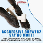 Bullibone Nylon Dog Chew Toy Spin-a-Bone - Image 5