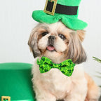 St. Patrick's Day Dog Collar - Image 4