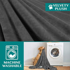 PetAmi Dog Blanket for Small Medium Dogs, Pet Bed Blanket Cat Puppy Kitten - Image 6
