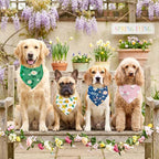 Abbylike 50 Pieces Spring Dog Bandanas Bulk Flower Daisy Sunflower Dog Bandanas - Image 6