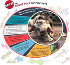 SPOT Play Strong Bone- Durable TPR Long Lasting Dog Chew - Image 14