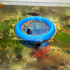 Aquarium Floating Betta Fish Skins, Betta or Shrimp Feeder, Cave and Hammock by HOZOE