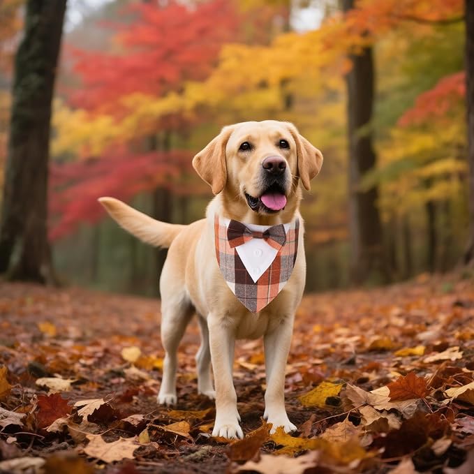 ADOGGYGO Fall Dog Tuxedo Bandana, Adjustable Halloween Thanksgiving Costume - Image 3
