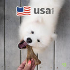 Benebone Wishbone Durable Dog Chew Toy - Image 5