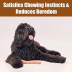 SPOT Bam-Bones Plus Branch -Bamboo Fiber & Nylon, Durable Long Lasting Dog Chew - Image 7