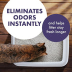 Arm & Hammer Forever Fresh Cat Litter Deodorizer, Wild Lavender, Essential Oils - Image 2
