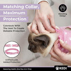 Cat Surgery Recovery Suit Female Cat Onesie - Image 3