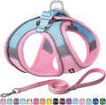 AIITLE Dog Harness, No-Pull Cat Harness by AIITLE-FORPETSBETTERLIFE