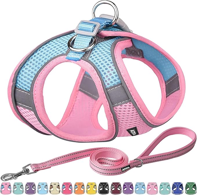 AIITLE Easy Walk Dog Harness and Leash Set by AIITLE-FORPETSBETTERLIFE