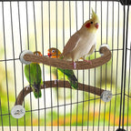 Rypet Parrot Natural Wood Stand Perch, Swing U Shape Natural Parrot Perch - Image 6