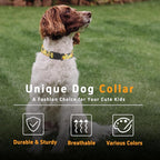 Adjustable Soft Pattern Pet Collar - Image 5