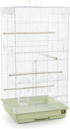 Prevue Pet Products SPECONO1818H-SG Tall Tiel Cage, Sage Green by PrevuePetProducts