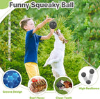 Interactive Squeaky Dog Balls Puppy Toys, Dog Toys - Image 4