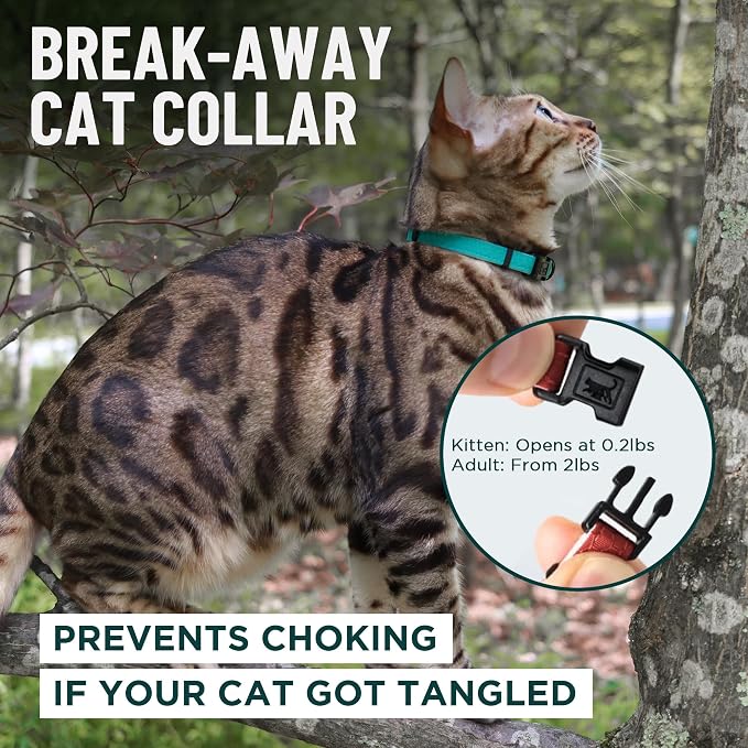 OutdoorBengal Orange Cat Collar Breakaway, Soft Padding - Image 2