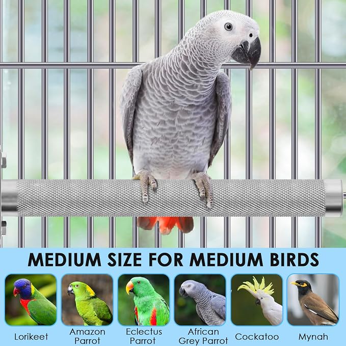KATUMO Conure Perch - Image 6