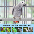 KATUMO Conure Perch - Image 6