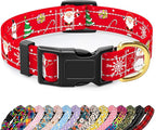 Reflective Dog Collar by TMOODEL