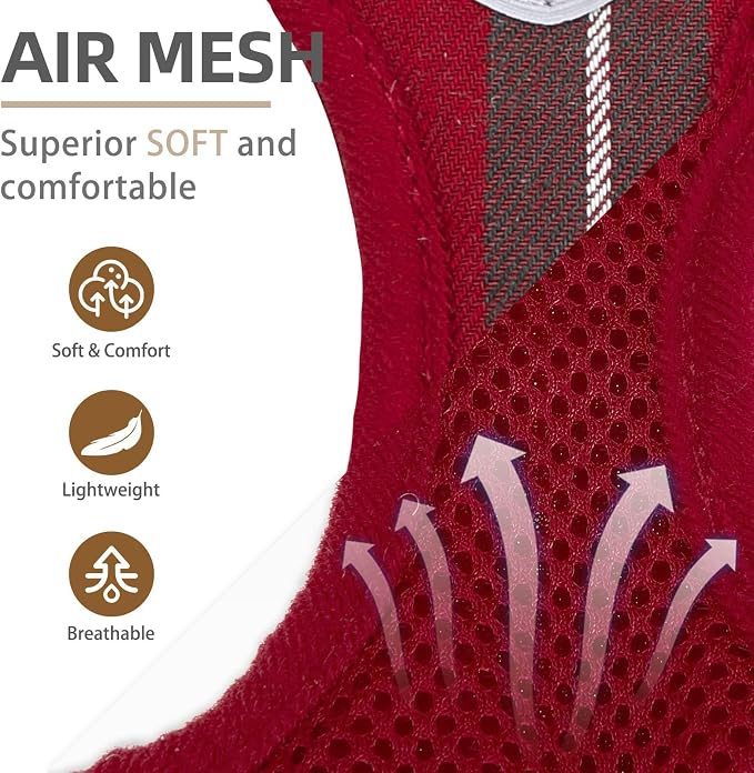 PUPTECK Adjustable Pet Harness Collar and Leash Set Step in - Image 2