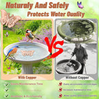 2Pcs Bird Bath Copper Disk, 0.6mm Reinforced 99.9% Pure Copper Cleaning Disk - Image 3