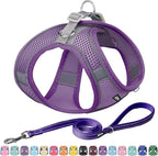 AIITLE Comfortable Dog Harness and Leash Set by AIITLE-FORPETSBETTERLIFE