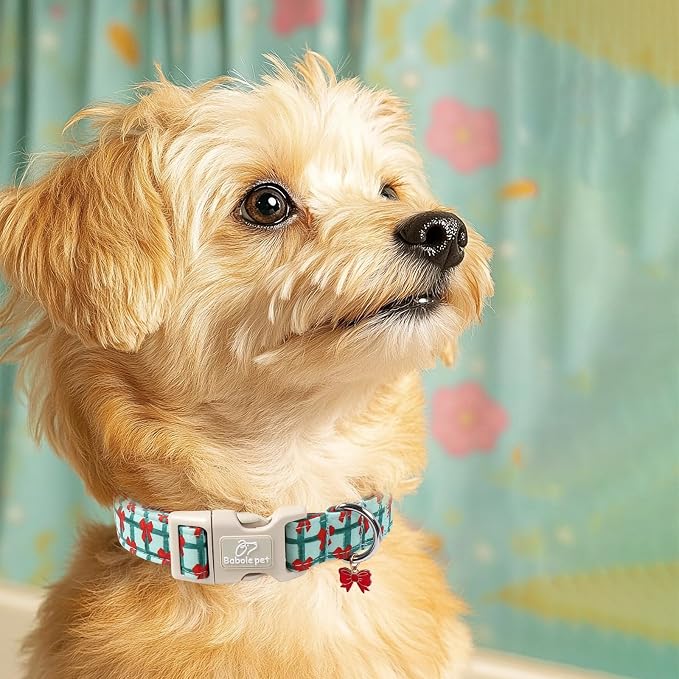 Christmas Dog Collar for Large Dogs - Image 7