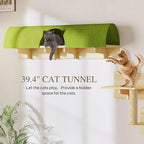 Cat Wall Shelves, 7-in-1 Solid Wood Wall-Mounted Cats Furniture Set - Image 3