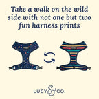 Lucy & Co. Cute Reversible Dog Harness Walking Halter - Image 3