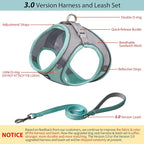 AIITLE No Pull Dog Harness and Leash Set, Step in Adjustable Dog Harness - Image 5
