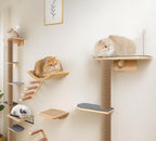 5-Tier Floor-to-Ceiling Cat Tree Tower, Upgraded Grey Felt Kittens Wall Shelves - Image 8