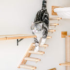 FUKUMARU Cat Climbing Shelf Wall Mounted, Four Step Cat Stairway - Image 4