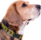 NFL PET Collar Green Bay Packers Dog Collar, X-Large Football Team Collar - Image 7