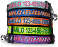 Pawtitas Personalized Blue Reflective Cat Collar – Adjustable Custom Collar by Pawtitas
